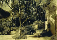 Gardens include rare plants and century-old trees.