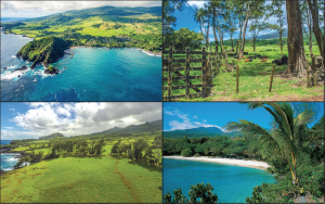 Screen Shot 2016-03-12 at 2.32.31 PM