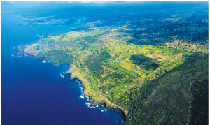 Screen Shot 2017-01-22 at 2.37.54 PM