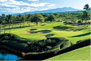 Screen Shot 2017-01-22 at 2.38.00 PM